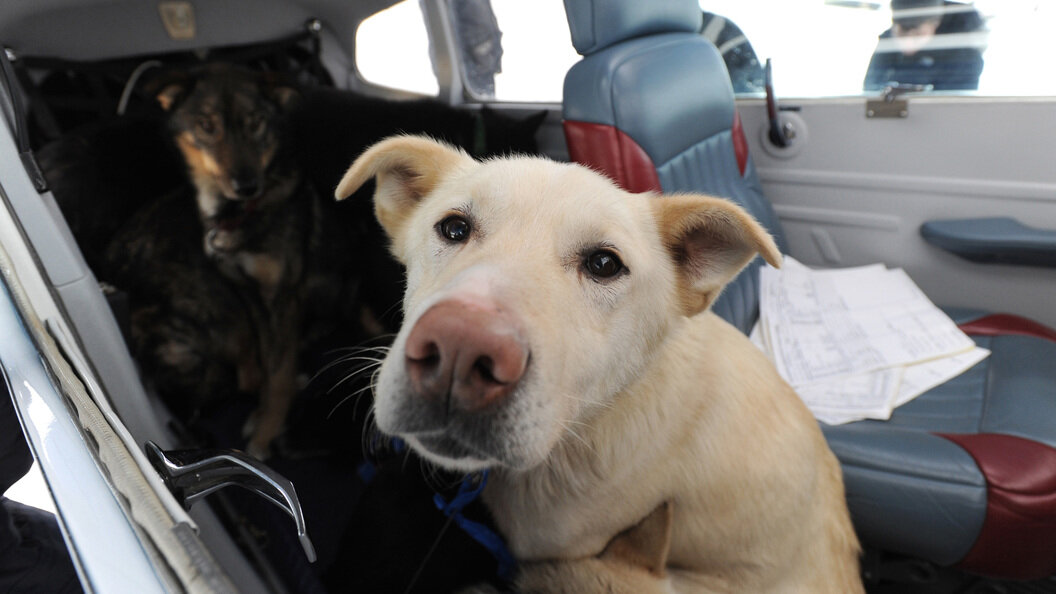    Фото: Bill Roth/ZUMAPRESS.com/Globallookpress