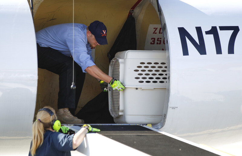    Фото: Hayne Palmour Iv/ZUMAPRESS.com/globallookpress