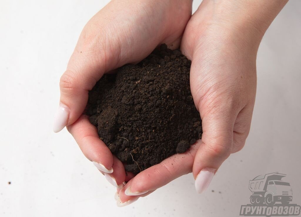 Плодородный грунт – это искусственно приготовленная смесь торфа и песка в разных соотношениях. В ней содержится много питательных и органических элементов.