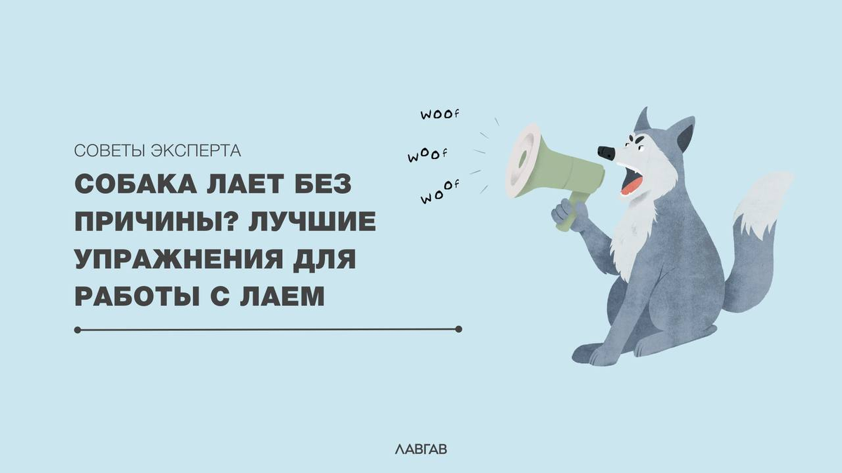 СОБАКА ЛАЕТ БЕЗ ПРИЧИНЫ? Лучшие упражнения для работы с лаем. | ЛавГав |  Дзен