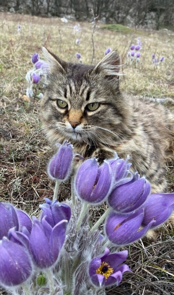 Источник: Яндекс картинки