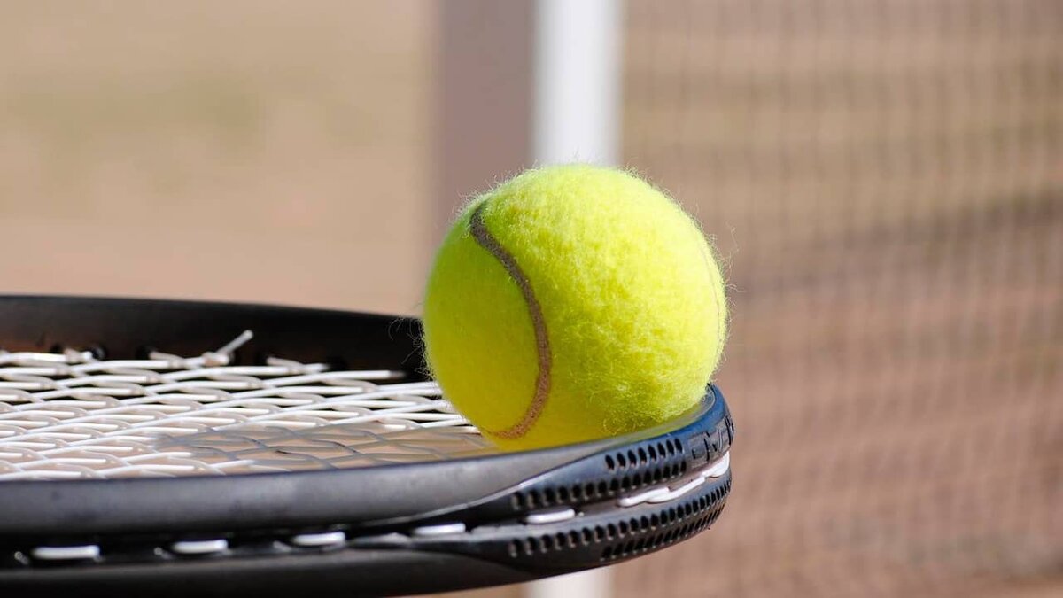 Фото: https://tvzvezda.ru/ (https://mcdn.tvzvezda.ru/storage/news_other_images/2022/04/21/88b967b9c26048d19bba8c06d1be030a.jpg)