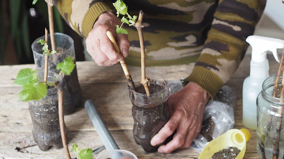 Фото здесь и далее ShutterStock/Fotodom.ru