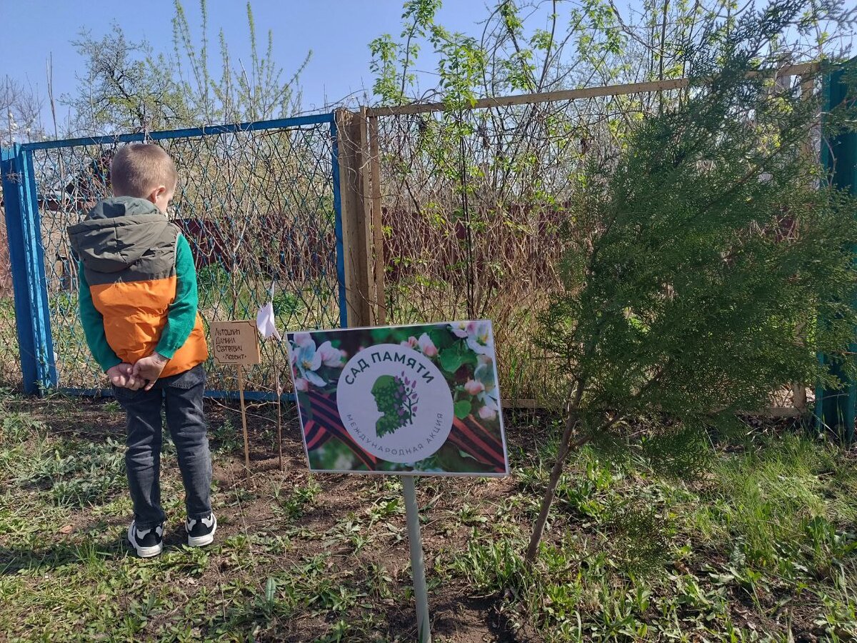    В детсаду № 37 Макеевки, над которым шефствует Югра, состоялась международная акция Сад памяти»