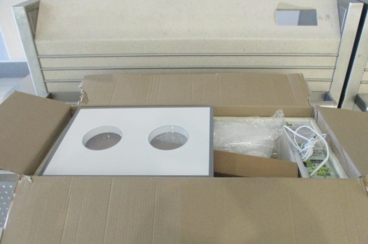    Таможенники задержали мужчину из Тюмени с инкубатором для выведения цыплят