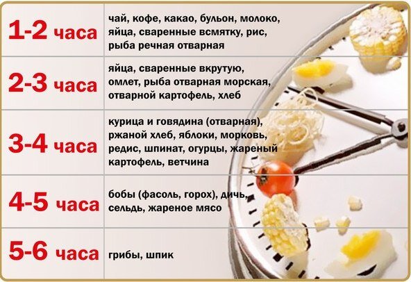 Переваривание пищи