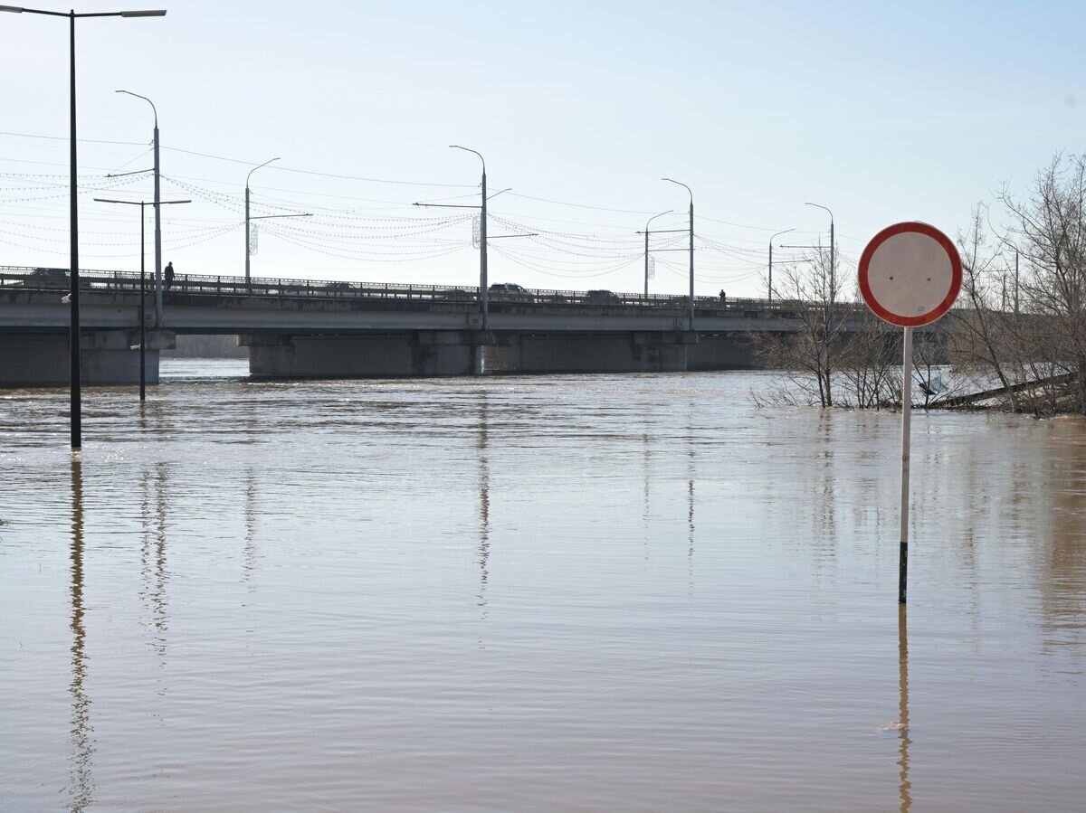   Разлившаяся река Урал в Оренбурге© РИА Новости / Максим Богодвид