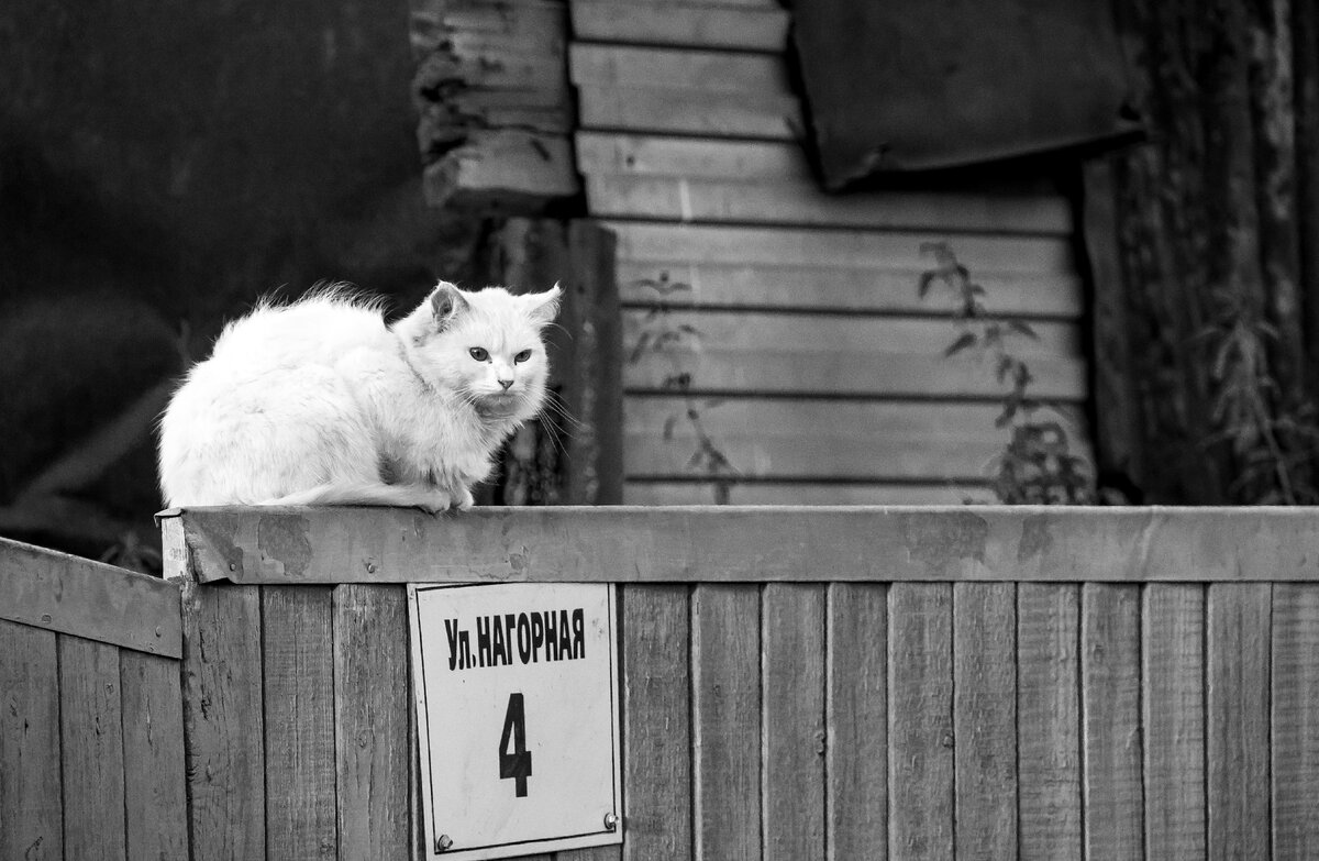 Svetlana Vozmilova/Global Look Press 