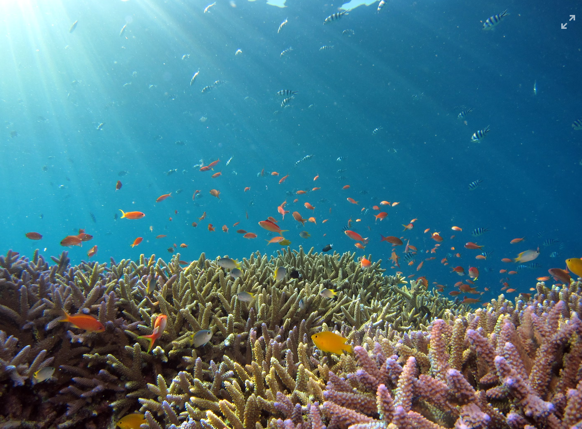 Это самый популярный японский пляжный курорт с белоснежными песчаными пляжами, бирюзовой водой и коралловыми рифами. 