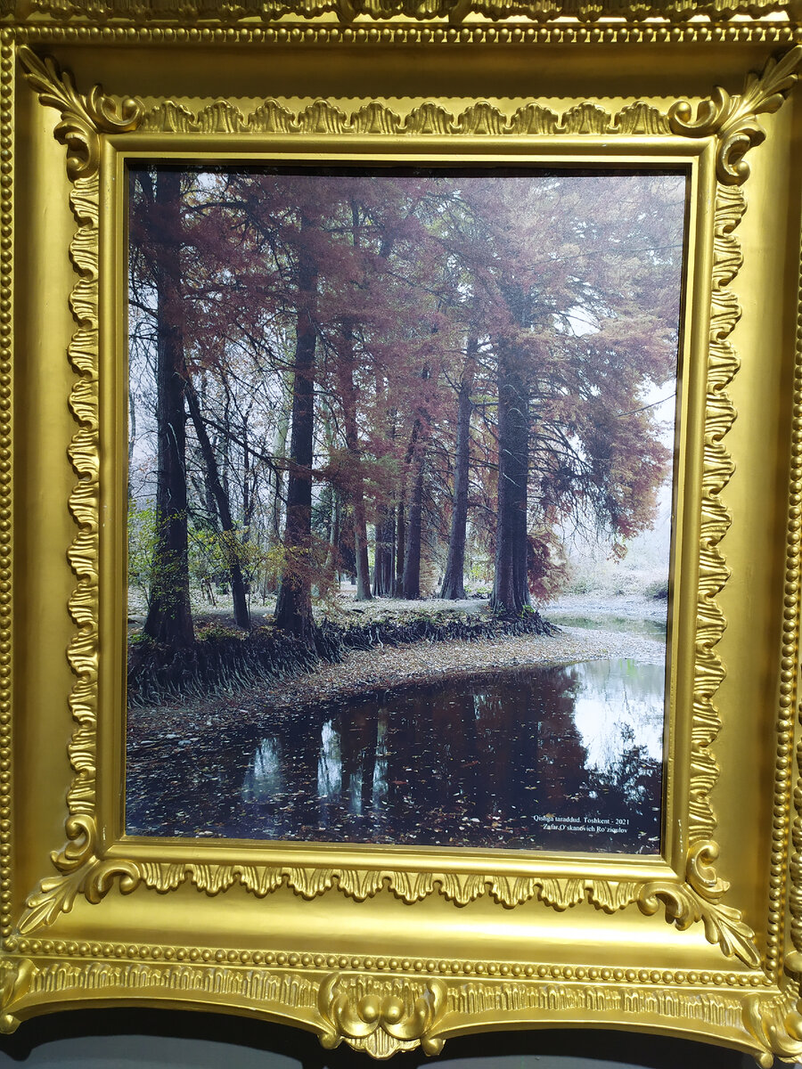 Фото автора.