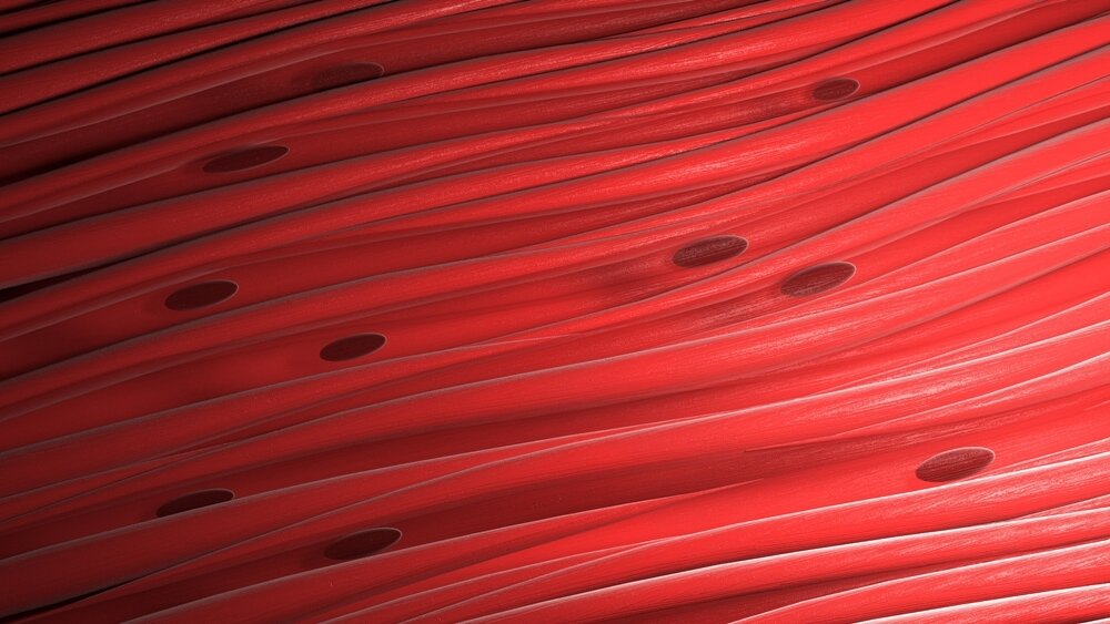    Фото: Shutterstock