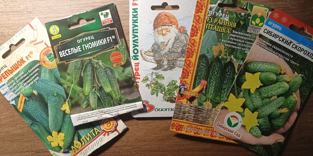 Огурцы для ультра-раннего урожая в теплице