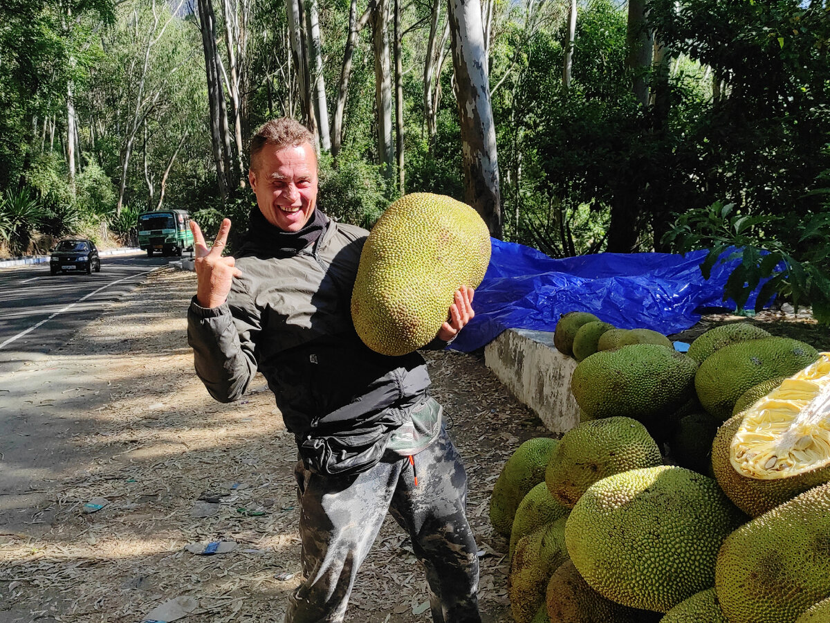 Весит, как средний индиец