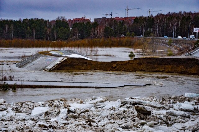    Фото:  АиФ/ Дмитрий Еланаков