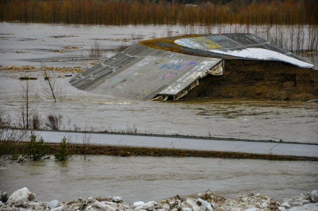    Фото:  АиФ/ Дмитрий Еланаков