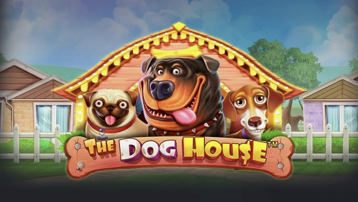 Дог Хаус казино. Dog House слот. Собаки казино. Будка Dog House Slot.