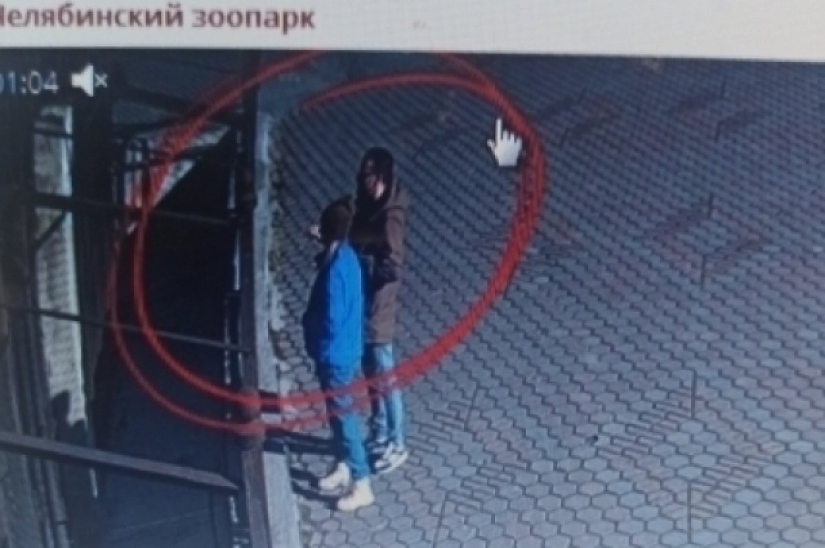    Нарушитель попал на камеру.