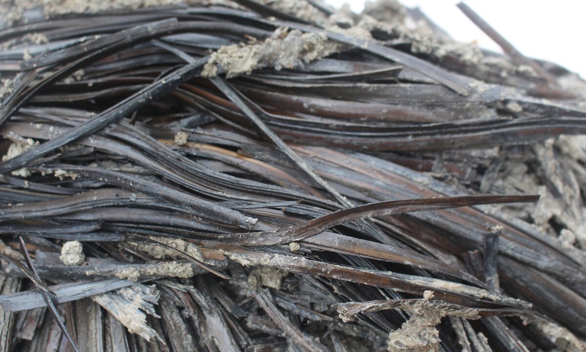 Бамбуковые письмена периода Воюющих царств (475-221 гг. до н.э.) обнаружены в гробнице M1093 на стоянке Циньцзяцзуй в городе Цзинчжоу, провинция Хубэй Фото: Любезно предоставлено Национальным управлением культурного наследия Китая