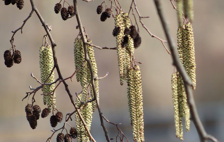 Источник :Яндекс  картинки.