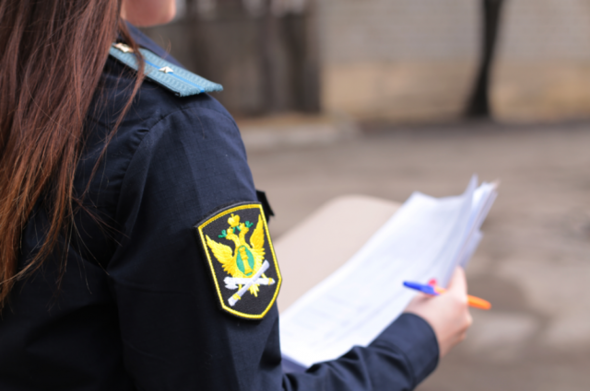    РИА Новости: в правительстве одобрили проект о праве приставов на оружие