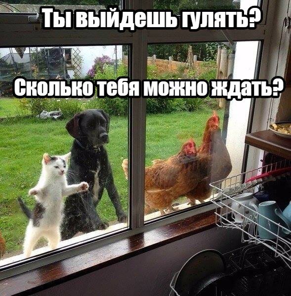 Изображение из открытого источника