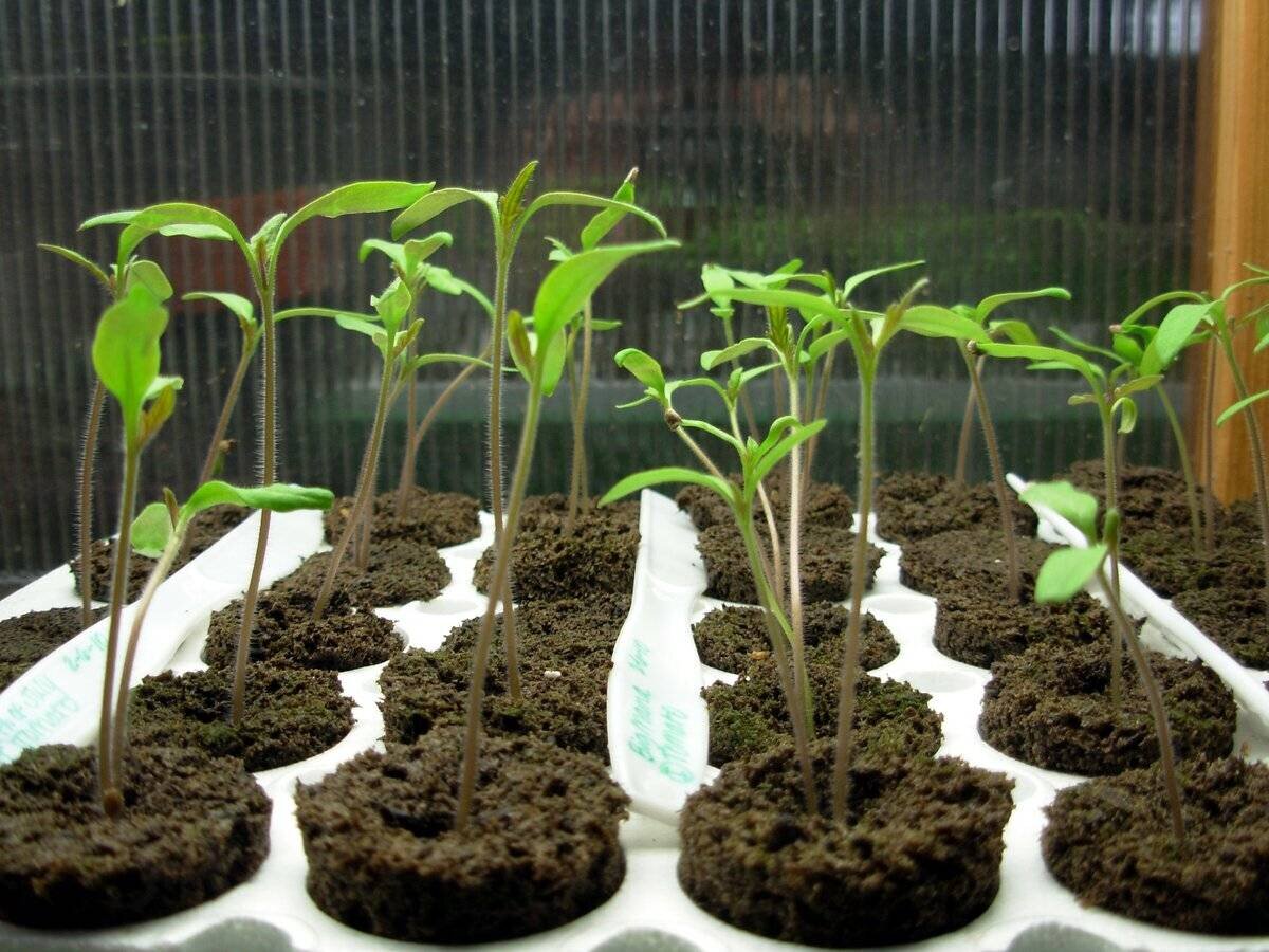 Выглядит плохо, но все можно исправить!