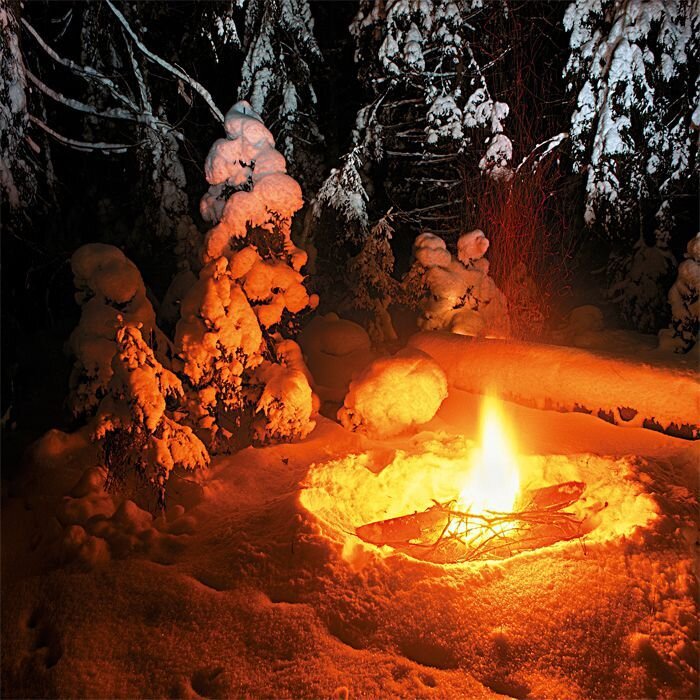 фото из интернета