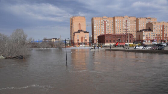    Уровень воды в реке Урал у Оренбурга снизился почти на 30 сантиметров Богдан Герцен