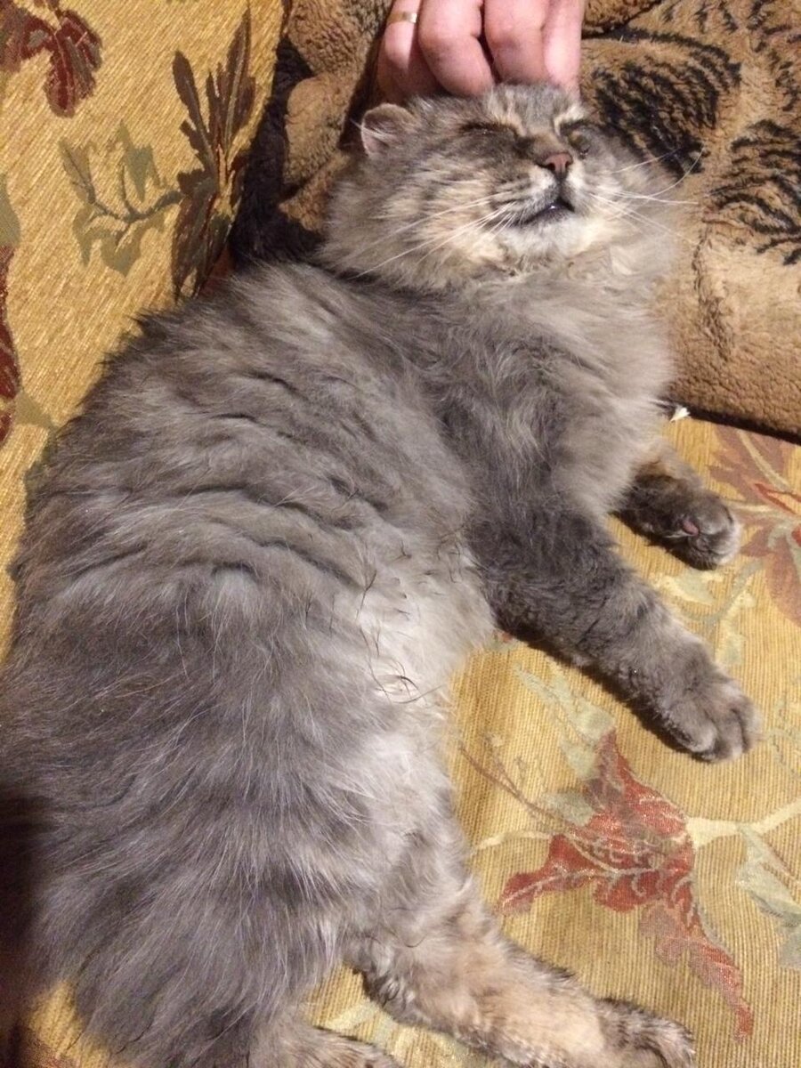 Жалейте меня, жалейте! Так страшно было! Везде фото автора.