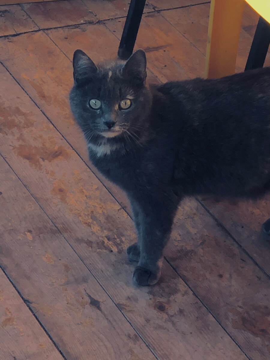 Ну, и кого тут стукнуть??