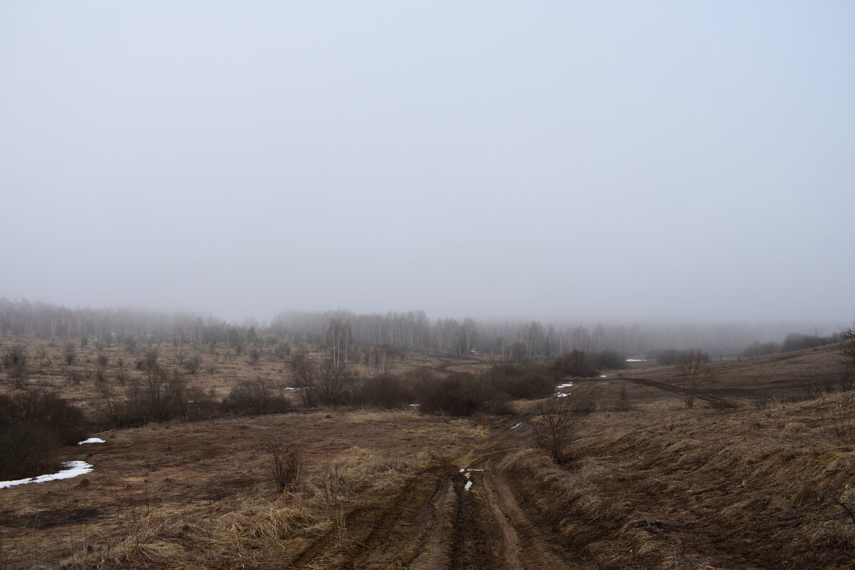 Природа Мордовии ( 07.04.2024 ).