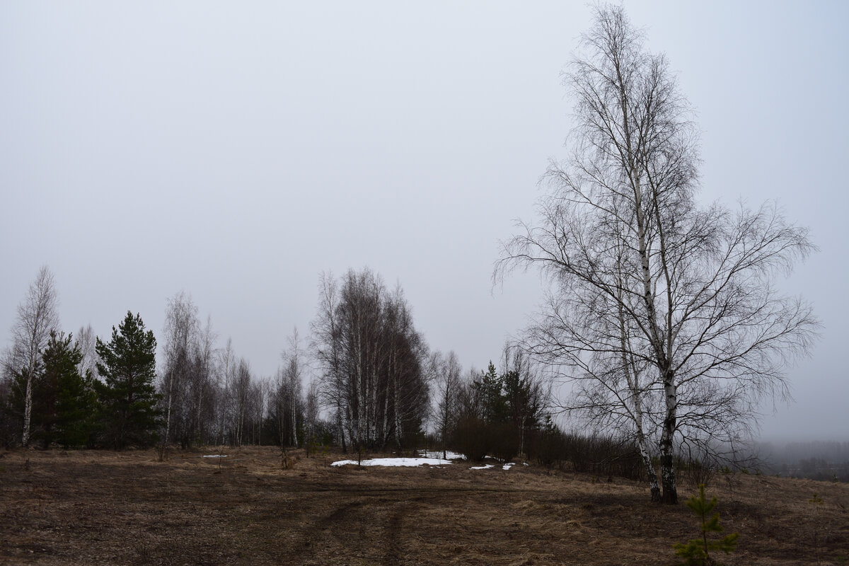 Природа Мордовии ( 07.04.2024 ).