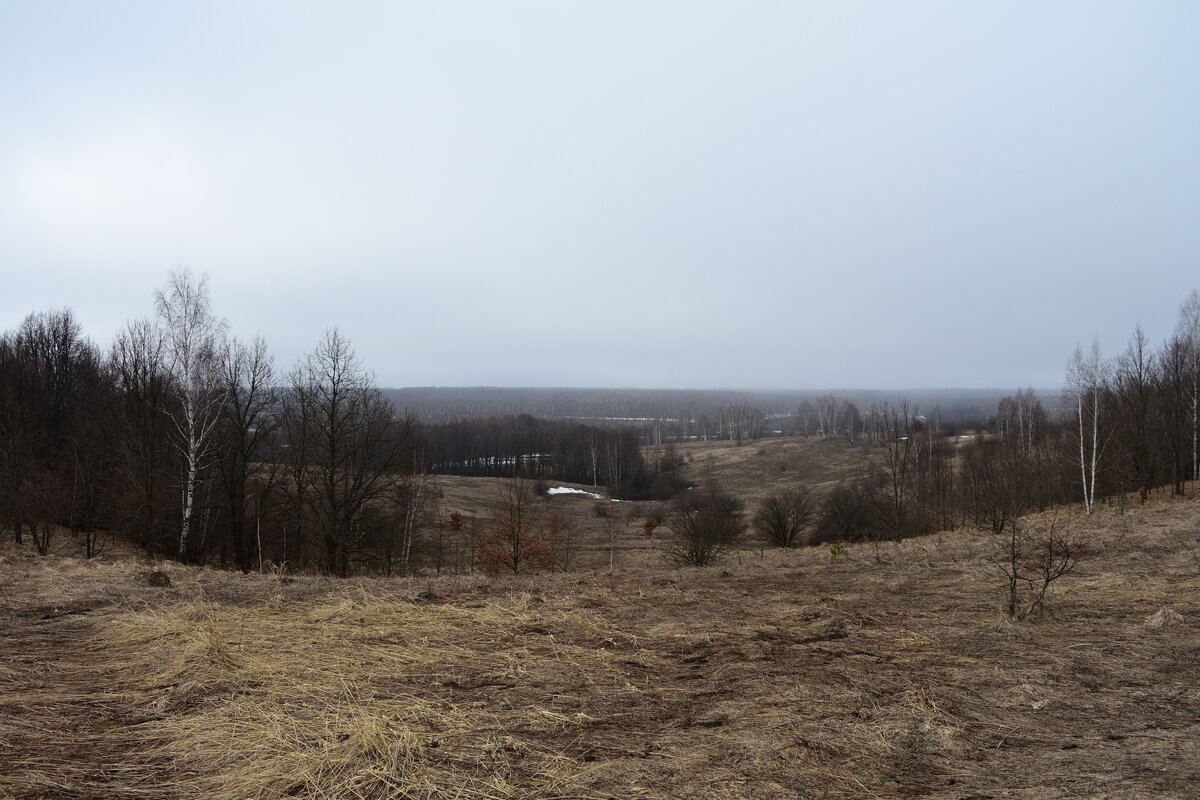 Природа Мордовии ( 07.04.2024 ).