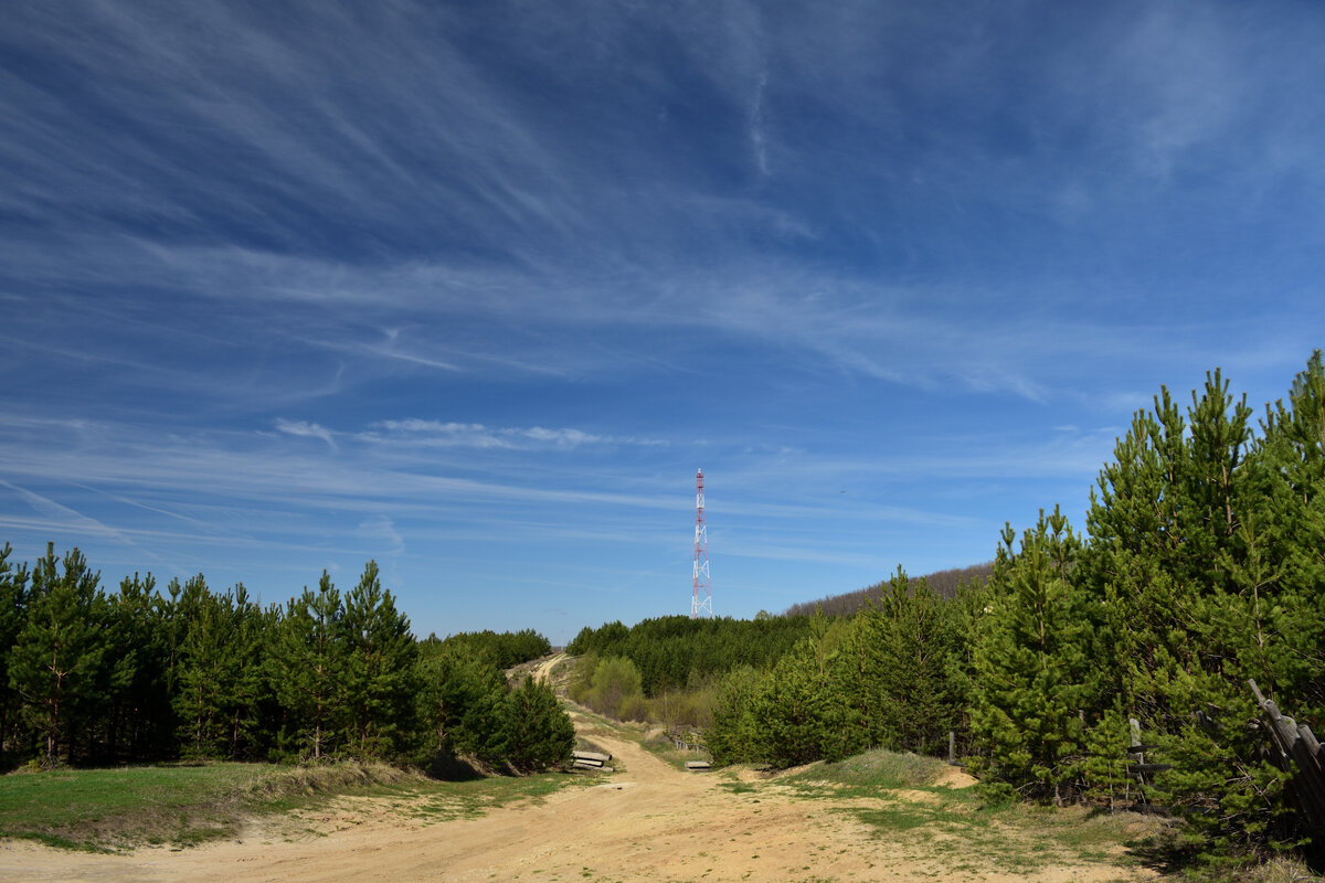 Окрестности села Большой Вьяс (Пензенская область, 20.04.2024).