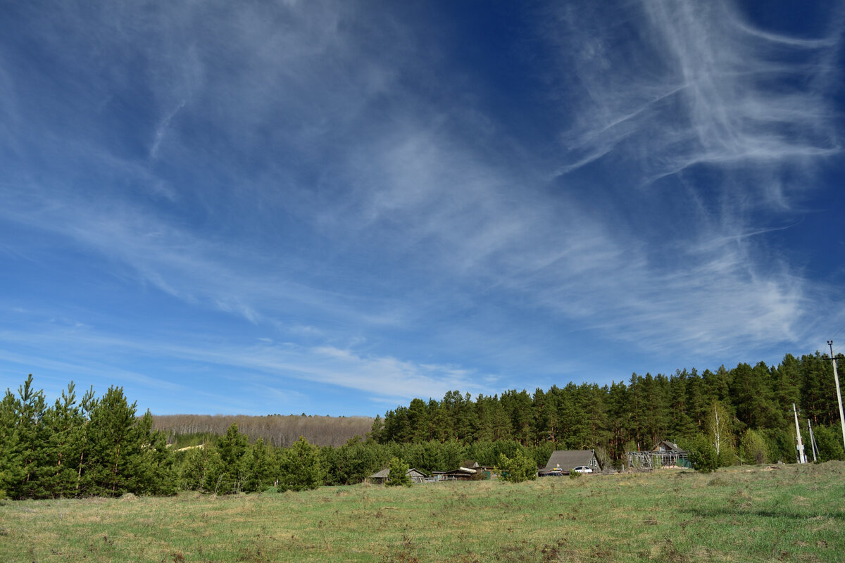 Окрестности села Большой Вьяс (Пензенская область, 20.04.2024).