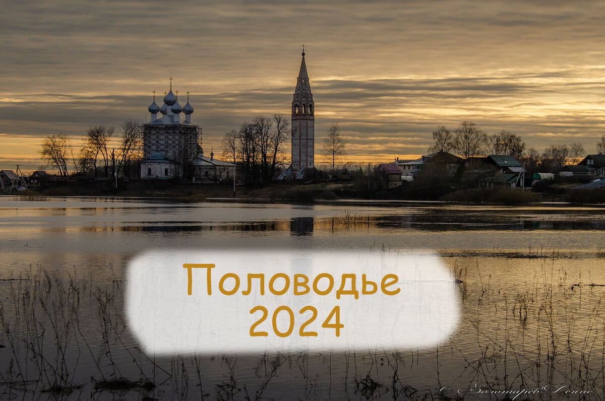 Половодье 2024 | Тропами Руси | Дзен