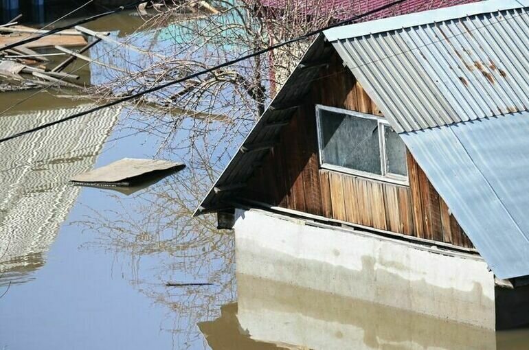   Максим Богодвид / РИА Новости