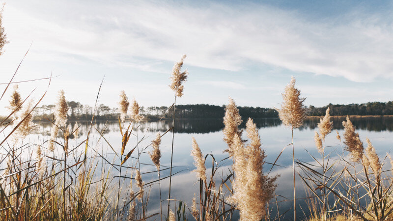     Река, вода, озеро, река в горах, озеро в лесу. unsplash.com.