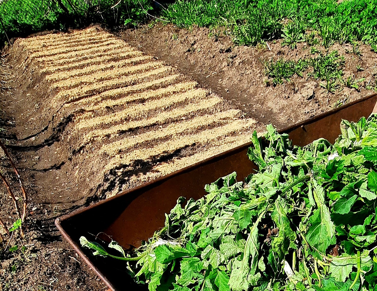 Фото автора.