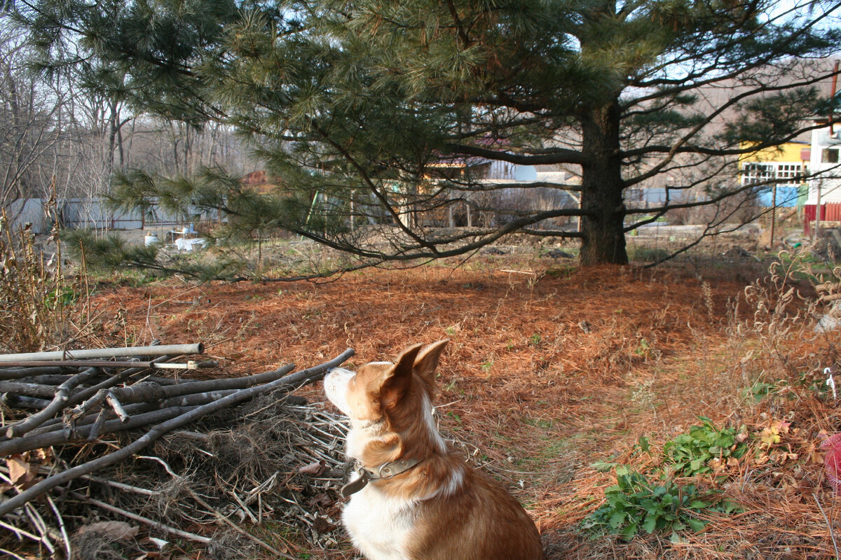 Фото из домашнего архива