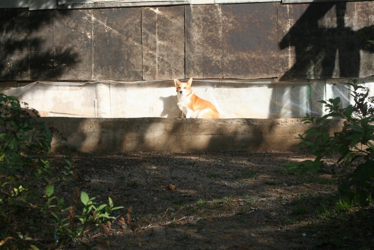 Фото из домашнего архива