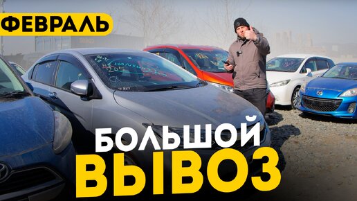 БОЛЬШОЙ ВЫВОЗ ФЕВРАЛЬ ❗️ HONDA, TOYOTA, VOLKSWAGEN, BMW И MERCEDES❗️ ЦЕНЫ ФЕВРАЛЯ