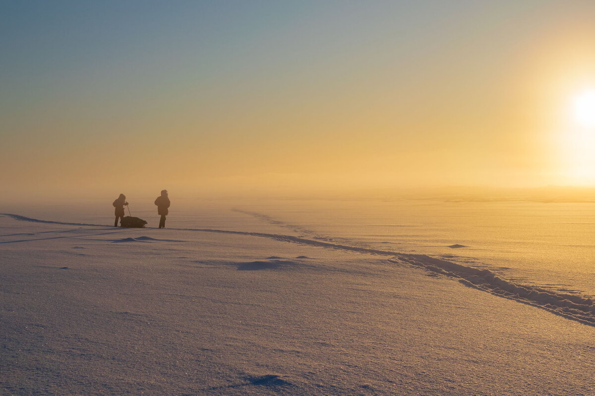 По следам Амундсена