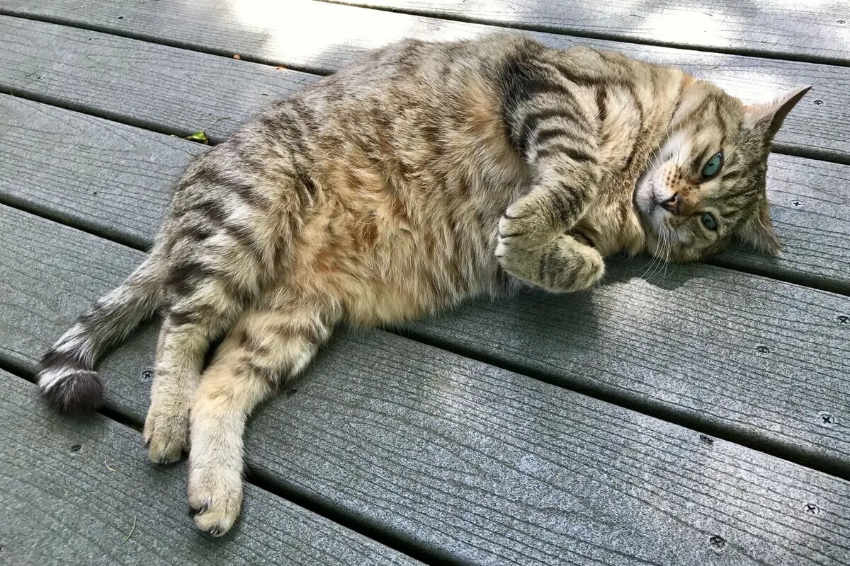    Наконец-то можно расслабиться… /unsplash Кошкин