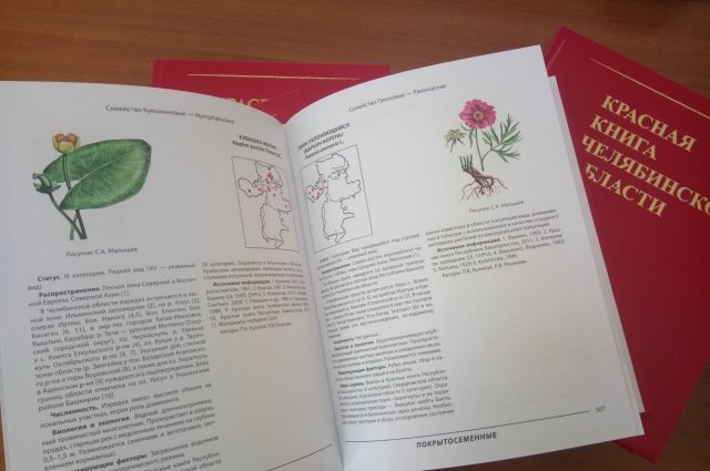    Что такое Черная книга и кого в нее записывают?