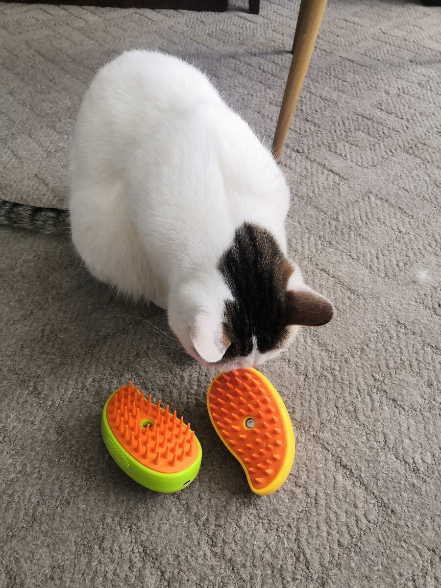 это что зверь такой?