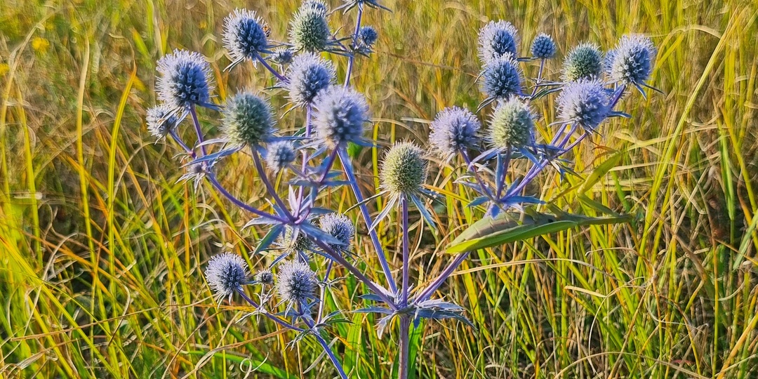 Рыболовные приметы, суеверия и поверья на своем опыте.