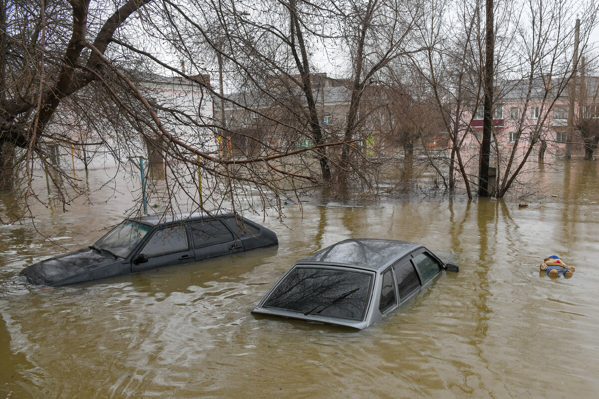 Фото: Sergey Nikiforov/ Global Look Press