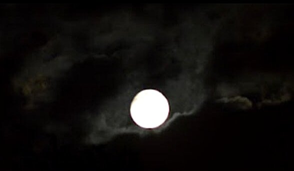 Полную Луну мы видим на небе один день в месяц. И этот день особенный!