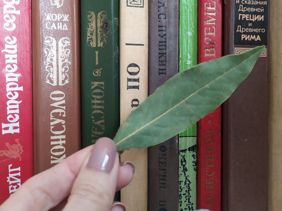 Лаврушку обязательно стоит спрятать на книжной полке